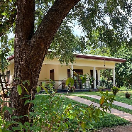 Green Haven Holiday Home อนุราธปุระ ภายนอก รูปภาพ