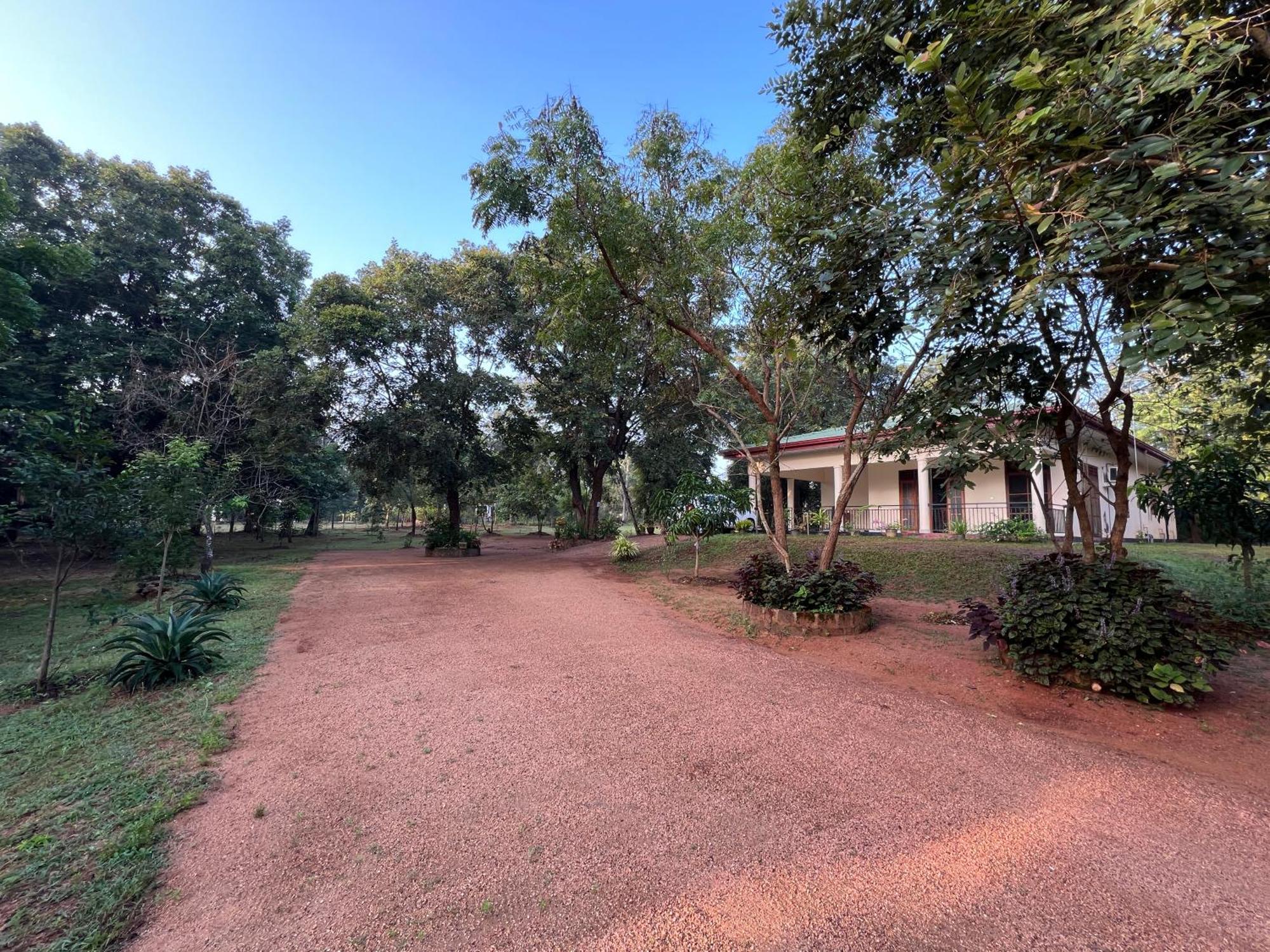 Green Haven Holiday Home อนุราธปุระ ภายนอก รูปภาพ