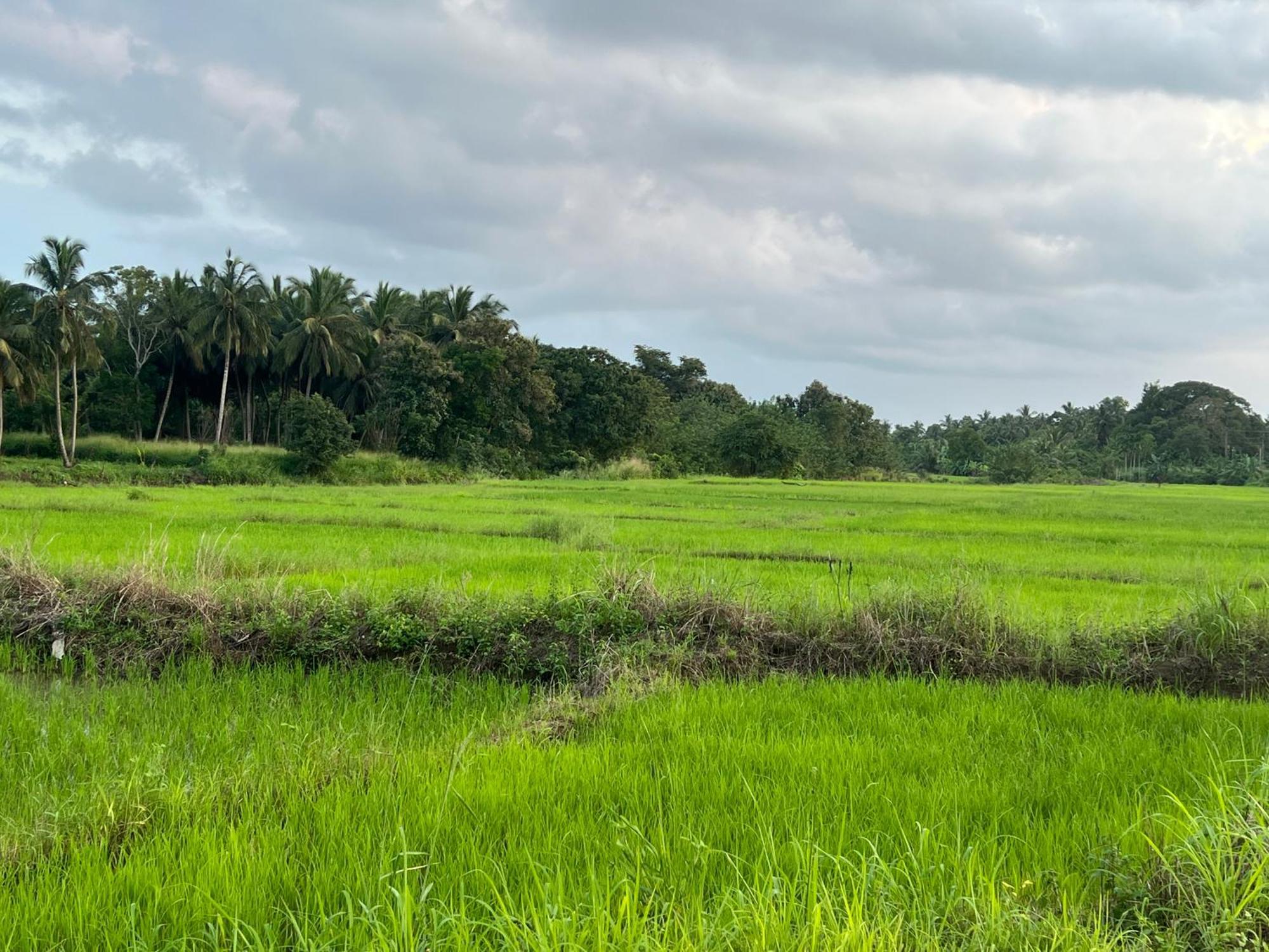 Green Haven Holiday Home อนุราธปุระ ภายนอก รูปภาพ