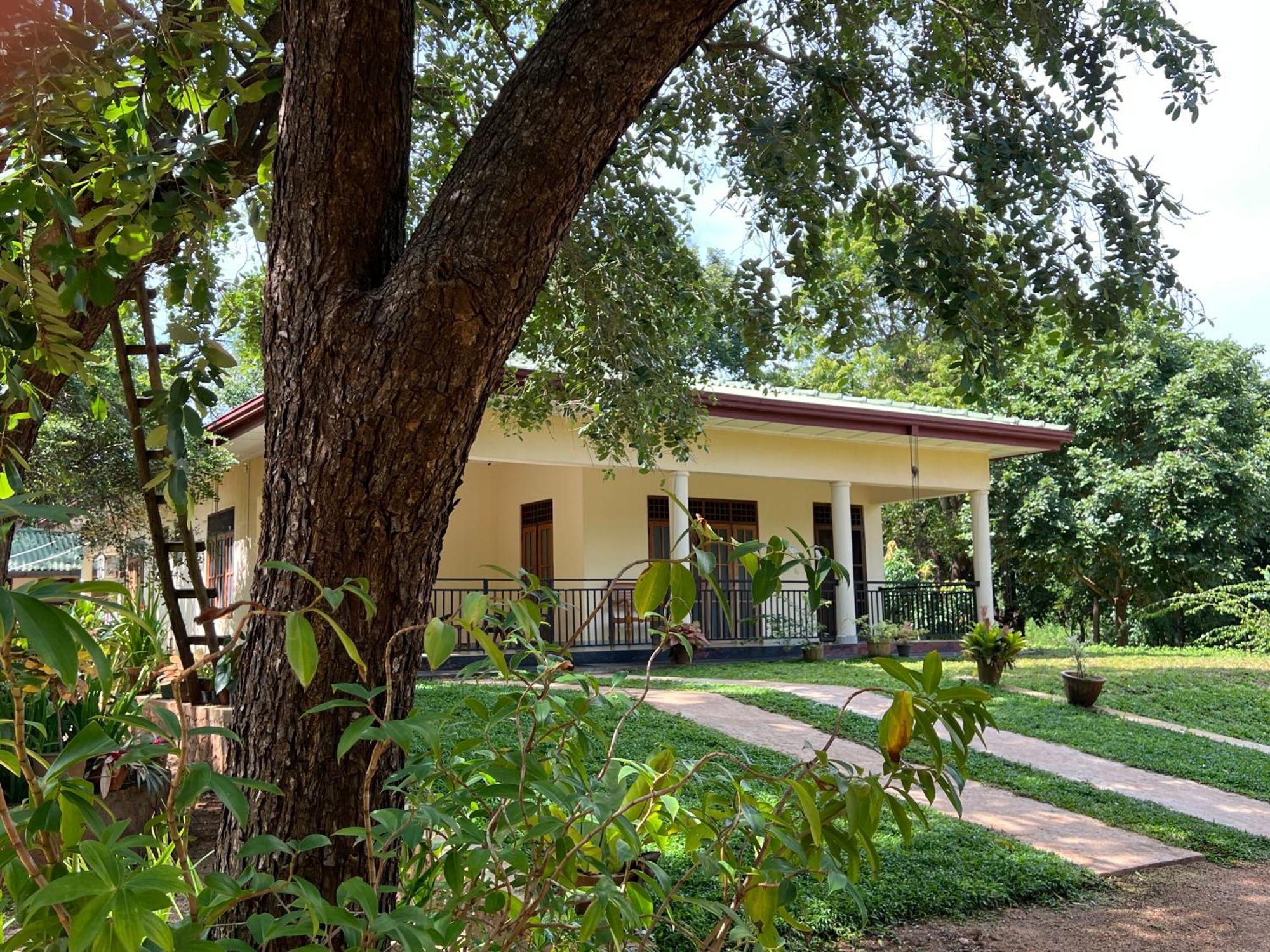 Green Haven Holiday Home อนุราธปุระ ภายนอก รูปภาพ